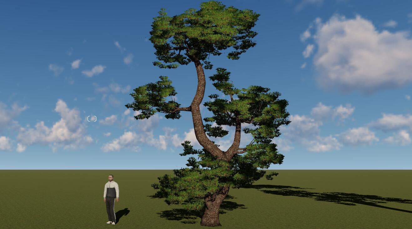 tree005.jpg