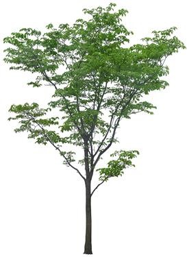 720�ú�����J3_22.jpg
