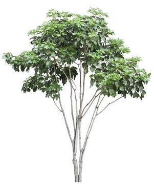 720�ú�����TM_037AP.jpg