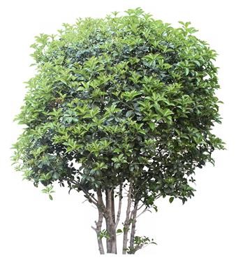 720�ú�����TM_045AP.jpg