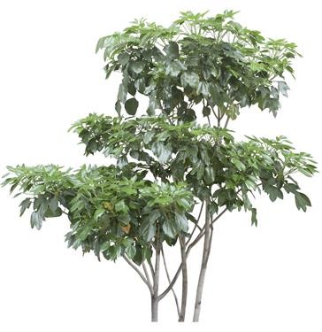 720�ú�����TM_053AP.jpg