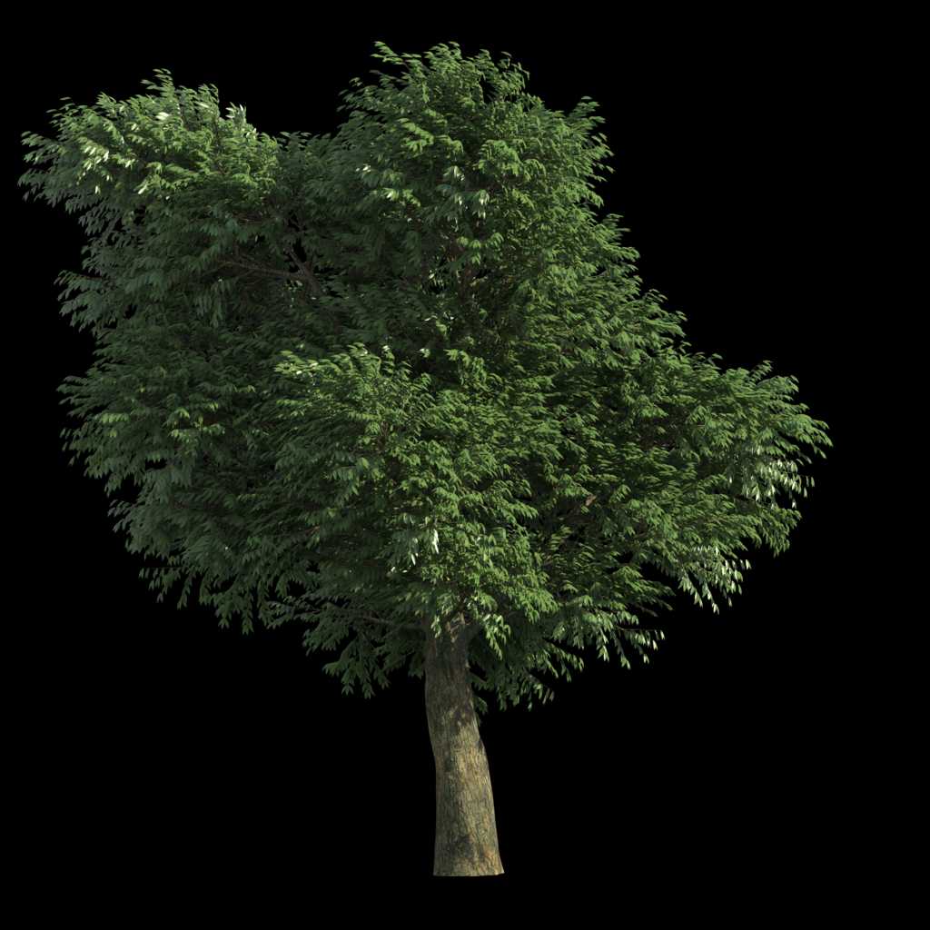 2457331_100153884000_2.png