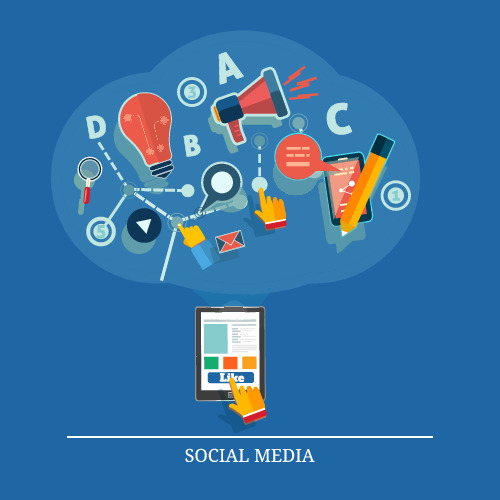 P��ר���ز� 167.JPG