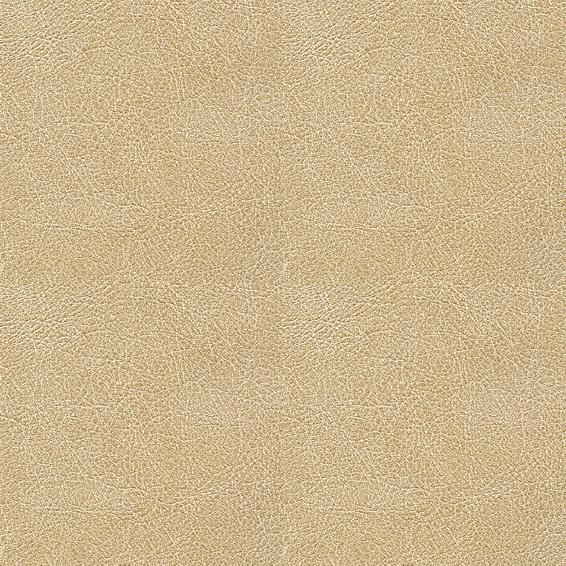 ��ͼ�Ⲽ��-��������VP 690 06.jpg