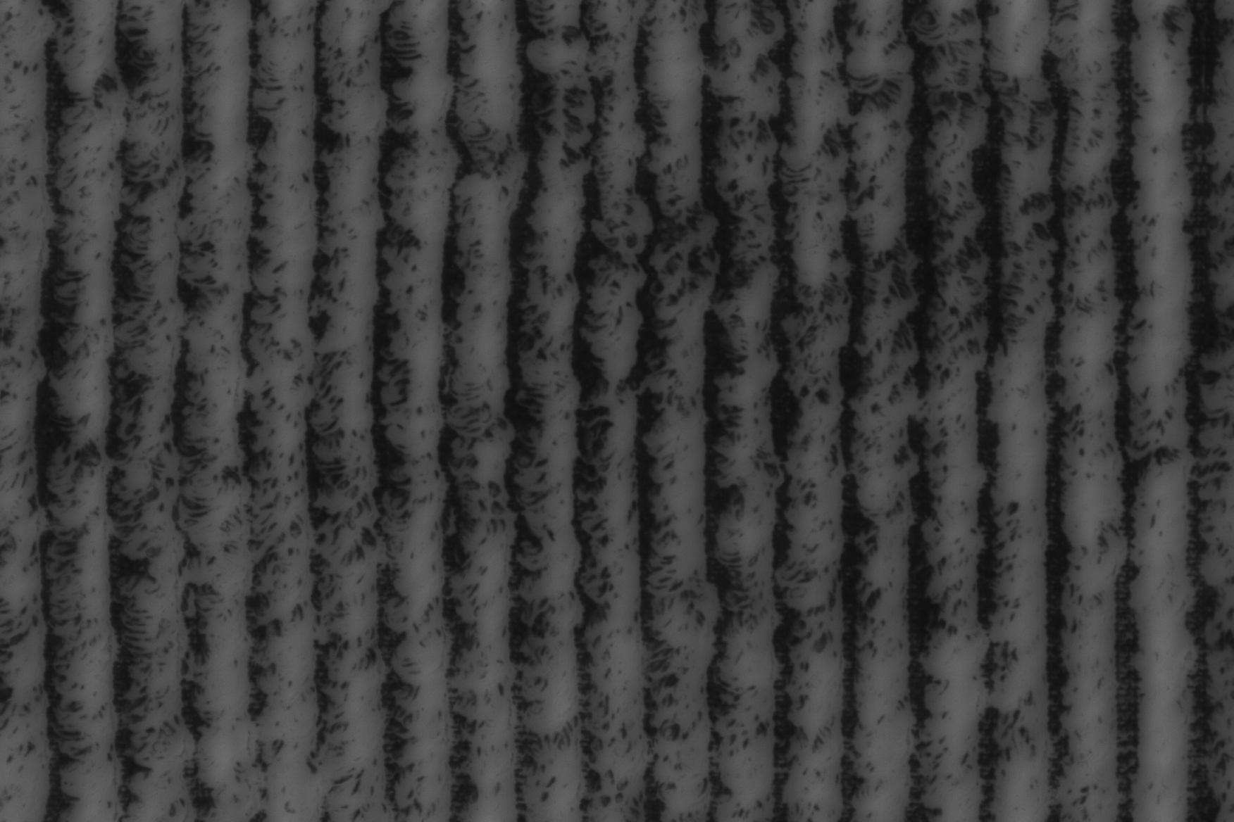 ��ͼ�Ⲽ��-�ҵ���fabric08b.jpg