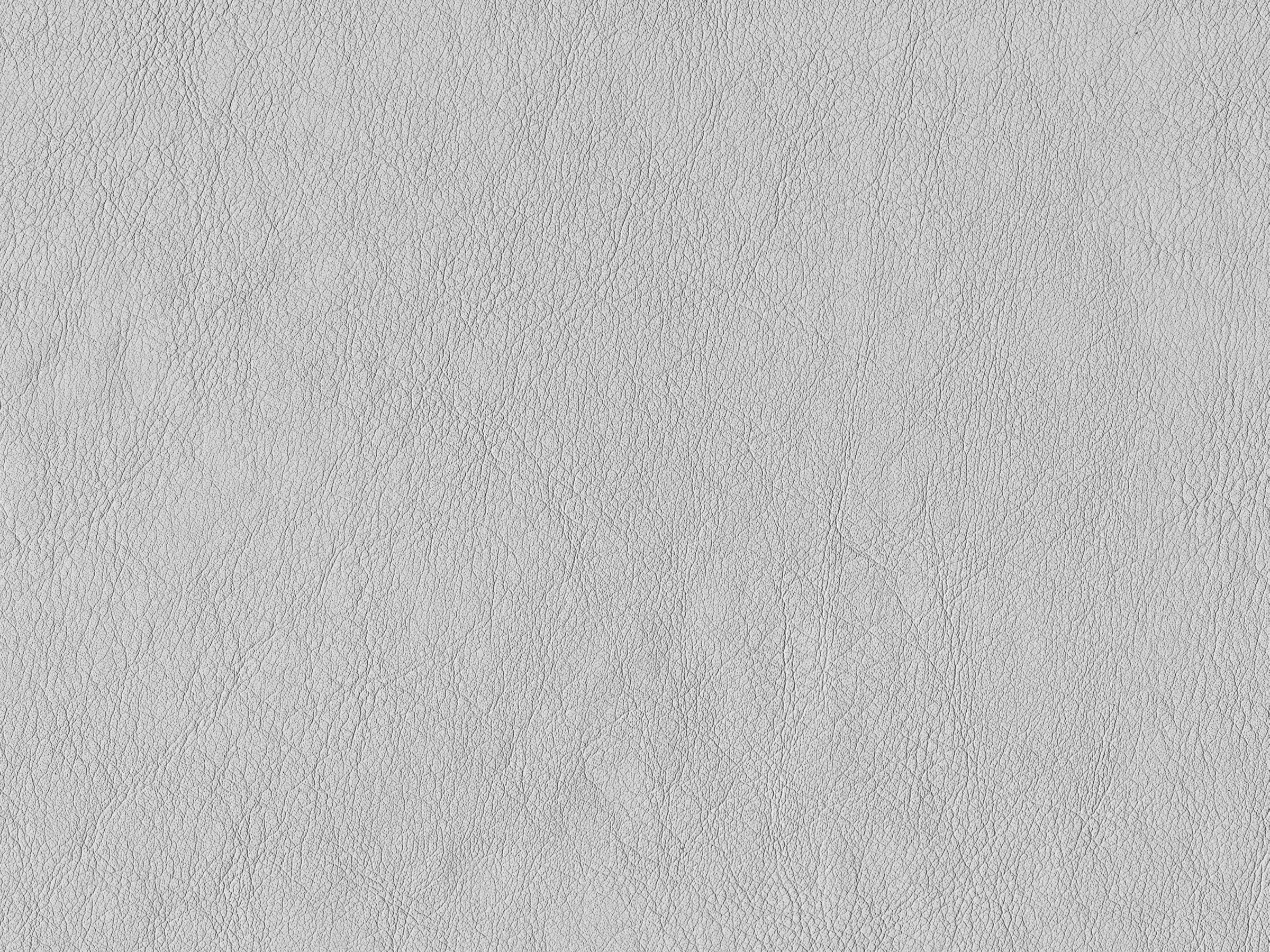��ͼ�Ⲽ��-�ҵ���item0107b.jpg