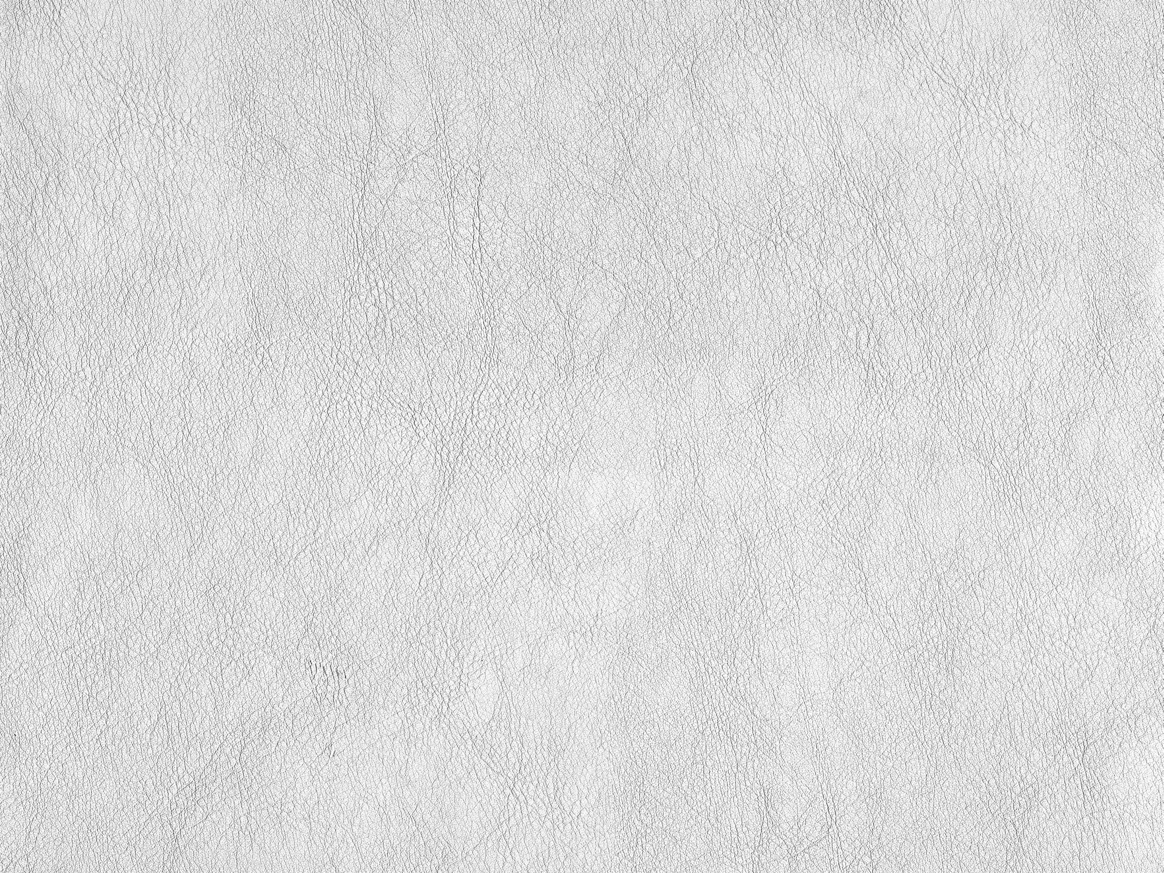 ��ͼ�Ⲽ��-�ҵ���item0108b.jpg