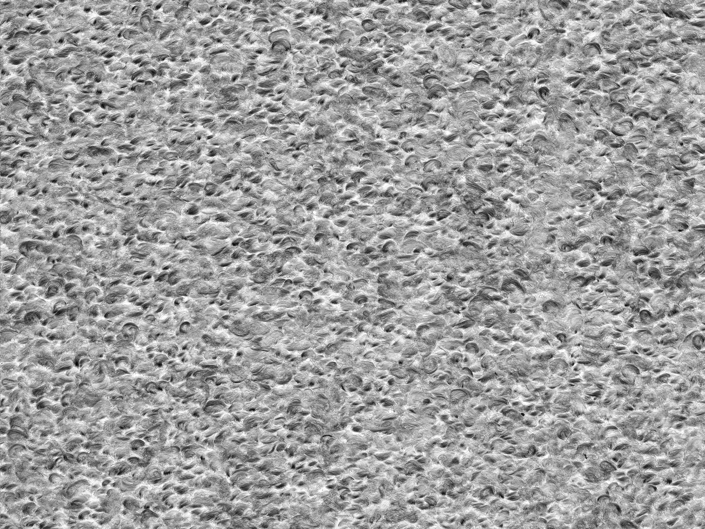 ��ͼ�Ⲽ��-�ҵ���item0098b.jpg