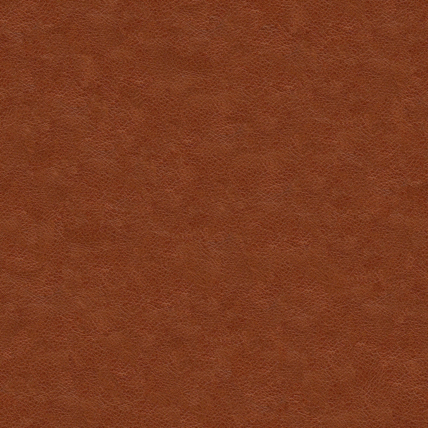Ƥ��leath08c.jpg