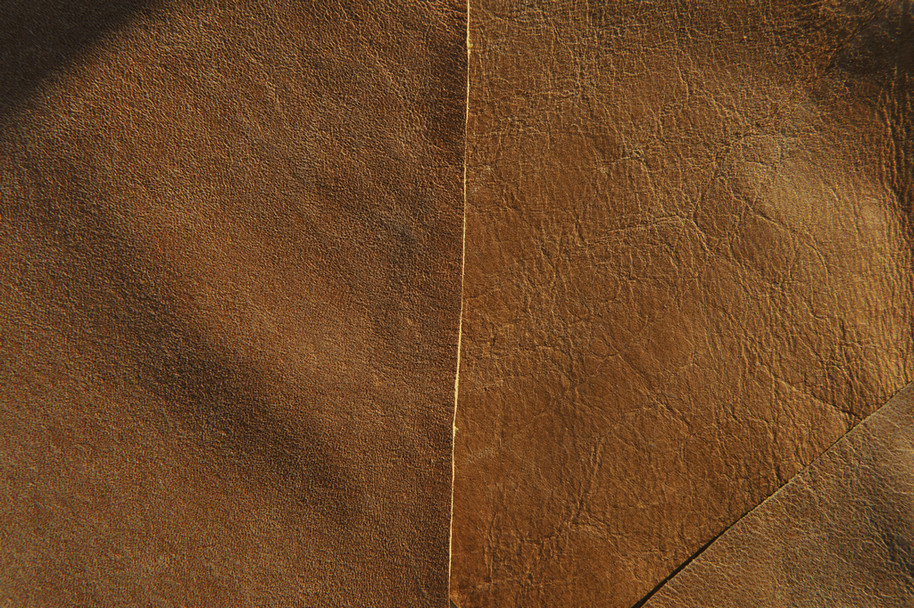 Ƥ��designtnt-textures-leather-2-11.JPG