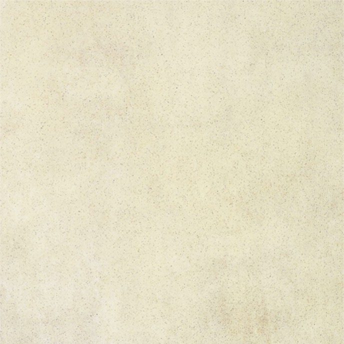 �����ƹ�ש����Eʯ��CH8172  800X800MM.jpg