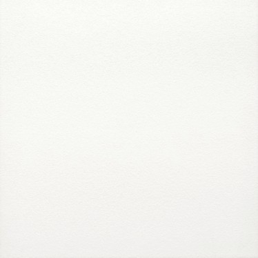 ����ʯ���ɲ�����ǽש��ǽש 316X450�������3048  316X316MM.jpg