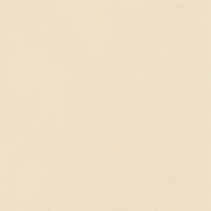 ����ʯ���ɲ����׹�ש�հ��հ�PH6001  600X600  PH8001  800X800MM.jpg