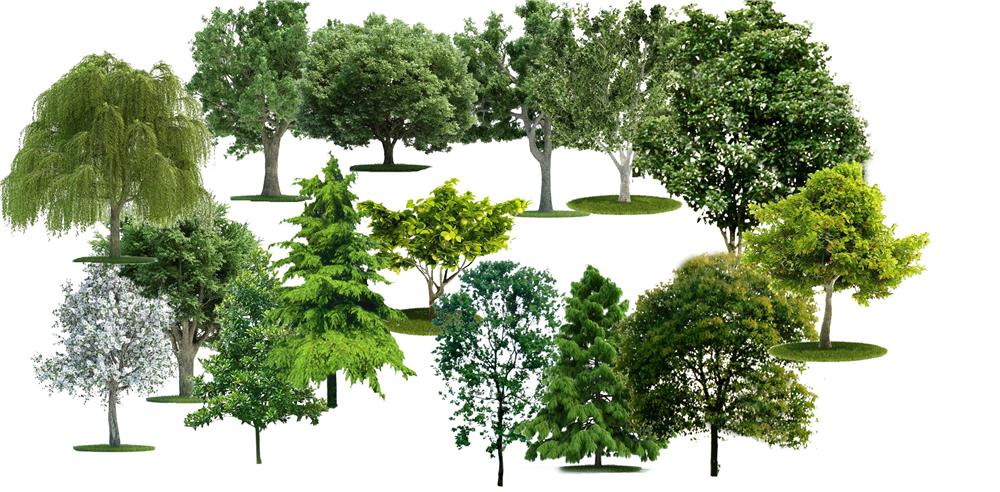 PSD��ʽ���� �ֲ��� ���� ����������ͼ.JPG