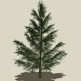 ��Ҷ��ľ-Sketchup��ͼ��ʦEnscape����ģ��2022051134