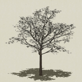 ��ľ-Sketchup��ͼ��ʦEnscape����ģ��20220511107