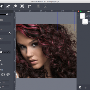 Strokes Maker for mac 2.0 矢量和栅格图像矢量化工具