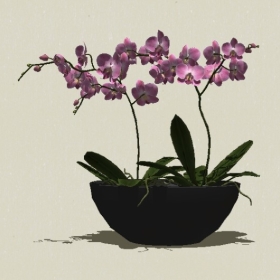 ����ֲ��-Sketchup��ͼ��ʦEnscape����ģ��20220511430