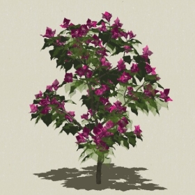 ��ľ��ľ-Sketchup��ͼ��ʦEnscape����ģ��2022051125