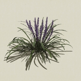 ����-Sketchup��ͼ��ʦEnscape����ģ��2022051141