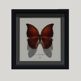 װ�λ�_Enscape���ʲ�ͼ��ʦģ���������202204203444