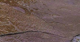 װjpgͼǷֲˮӡز109