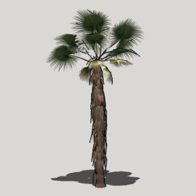 ���ֲ��_Enscape���ʲ�ͼ��ʦģ���������202204205583