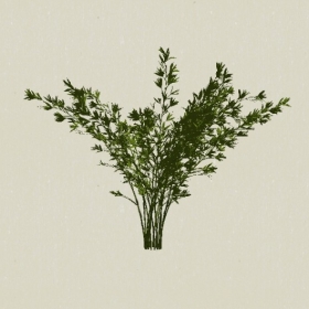 ��ľ-Sketchup��ͼ��ʦEnscape����ģ��20220511128