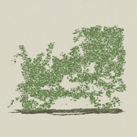 ��ľ-Sketchup��ͼ��ʦEnscape����ģ��2022051155