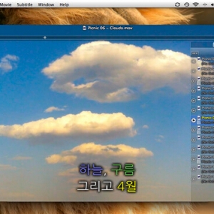 Movist for mac 1.3.16 – QuickTime和FFmpeg的解码器 HD播放器 绿化 免费下载