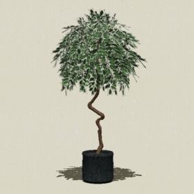 ����ֲ��-Sketchup��ͼ��ʦEnscape����ģ��20220511367