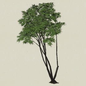 ��ľ-Sketchup��ͼ��ʦEnscape����ģ��20220511163