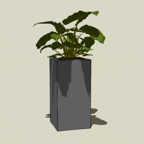 ����ֲ��-Sketchup��ͼ��ʦEnscape����ģ��20220511188