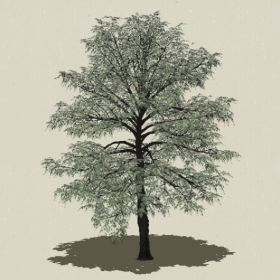 ��ľ-Sketchup��ͼ��ʦEnscape����ģ��2022051139