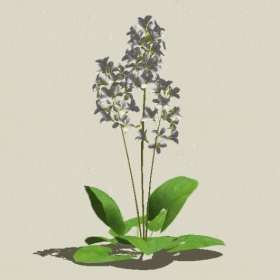 ����-Sketchup��ͼ��ʦEnscape����ģ��2022051127