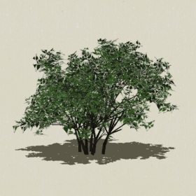 ��ľ-Sketchup��ͼ��ʦEnscape����ģ��2022051147