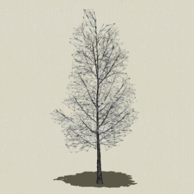 ��ľ-Sketchup��ͼ��ʦEnscape����ģ��20220511139