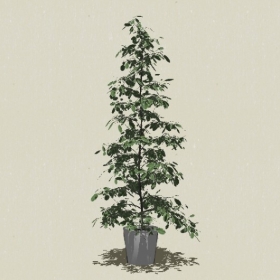 ����ֲ��-Sketchup��ͼ��ʦEnscape����ģ��20220511243