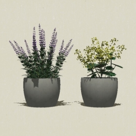 ����ֲ��-Sketchup��ͼ��ʦEnscape����ģ��20220511194