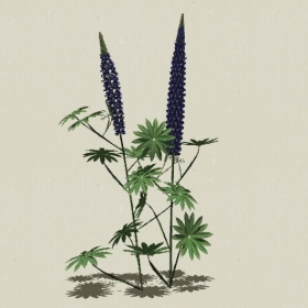 ����-Sketchup��ͼ��ʦEnscape����ģ��2022051147