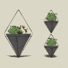 ����ֲ��-Sketchup��ͼ��ʦEnscape����ģ��2022051148