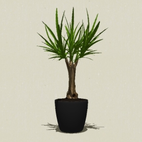 ����ֲ��-Sketchup��ͼ��ʦEnscape����ģ��20220511224