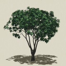 ��ľ��ľ-Sketchup��ͼ��ʦEnscape����ģ��2022051193