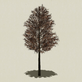 ��ľ-Sketchup��ͼ��ʦEnscape����ģ��20220511128