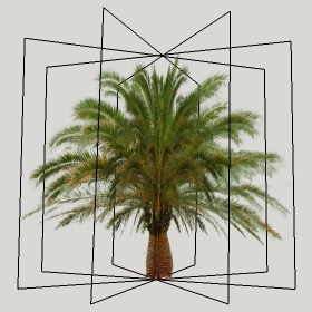 ͼʦģֲģȫ2022167