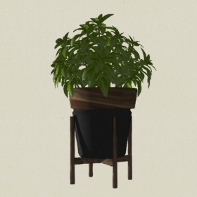 ����ֲ��-Sketchup��ͼ��ʦEnscape����ģ��20220511293