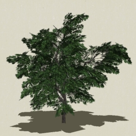 ��ľ-Sketchup��ͼ��ʦEnscape����ģ��2022051195