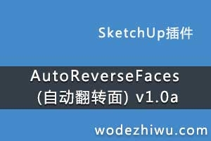 AutoReverseFaces (Զת) v1.0a