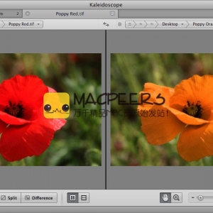 Kaleidoscope 2.1.1 for mac 文件和图像比较工具