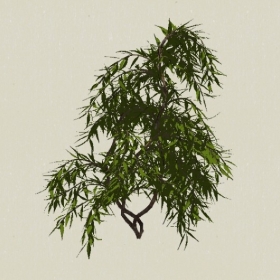 ��ľ-Sketchup��ͼ��ʦEnscape����ģ��20220511117